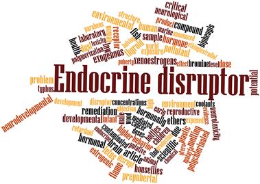 Top Ways to Get rid of Endocrine Disruptors