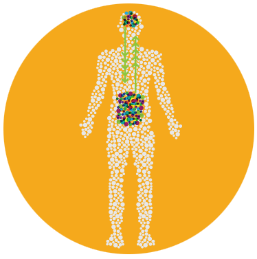 Micronutrient Absorption Profile | Nava Health & Vitality Center