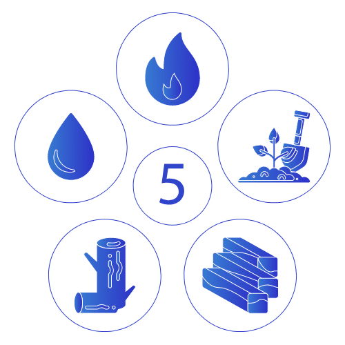 5 Elements | Nava Health