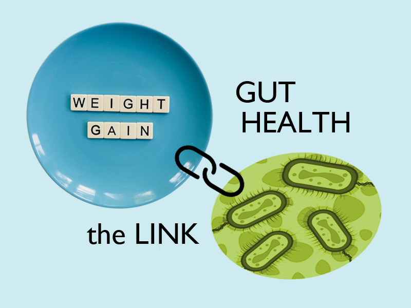 Plate with weight gain text linked to an oval with some gut pathogens to illustrate weight gain and gut health