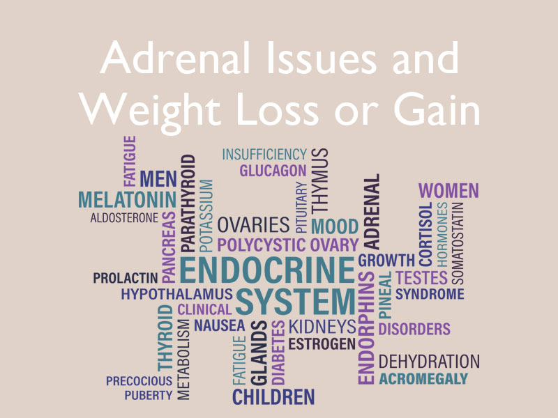 Word chart of the endocrine system to illustrate adrenal issues