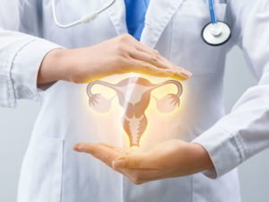 gynecologist showing virtual reproductive organs to illustrate hysterectomy