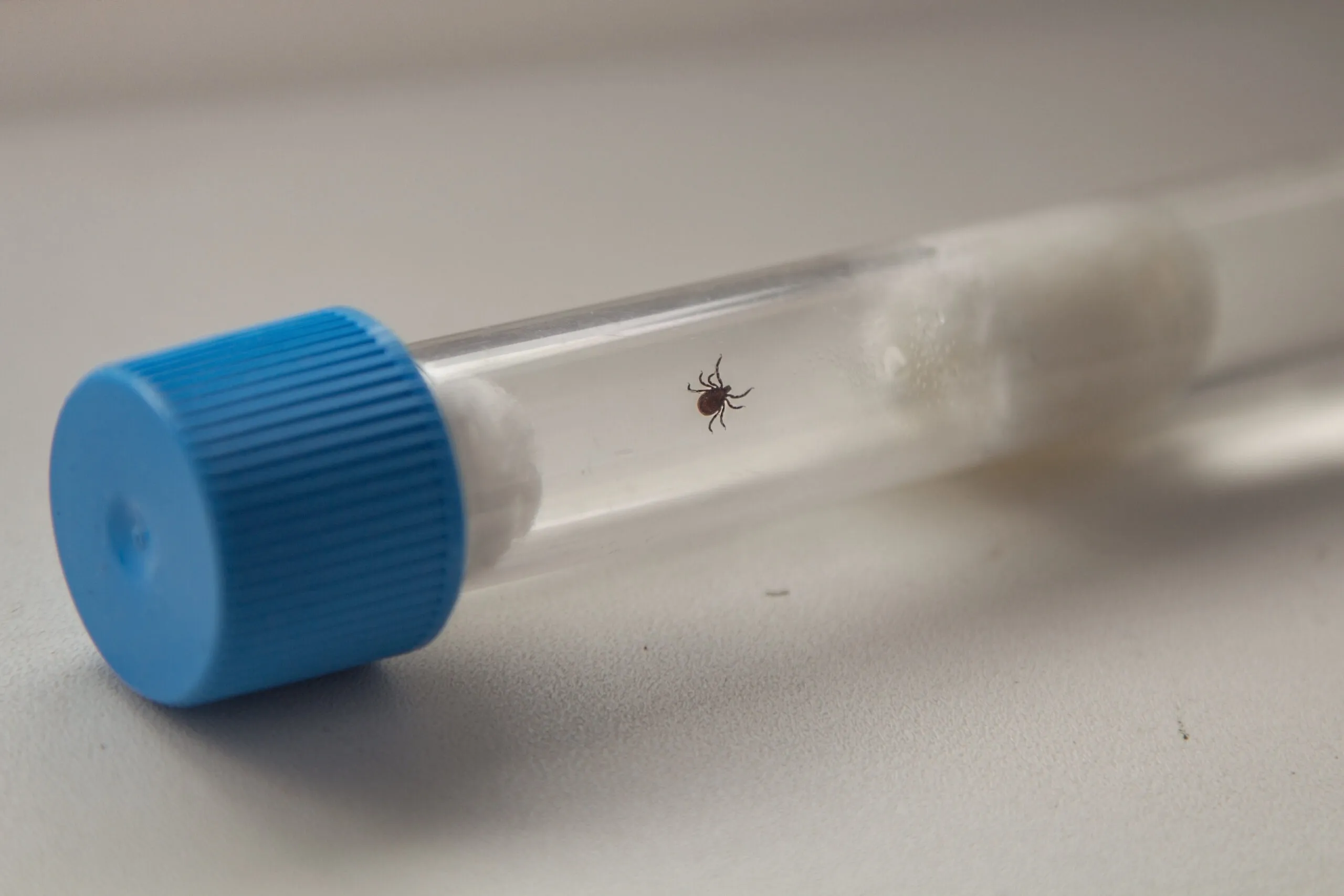 iv glutathione and lyme Unlocking Lyme: Innovative Integrative Treatments for Lasting Relief Variants:Vit A & C (Orange)