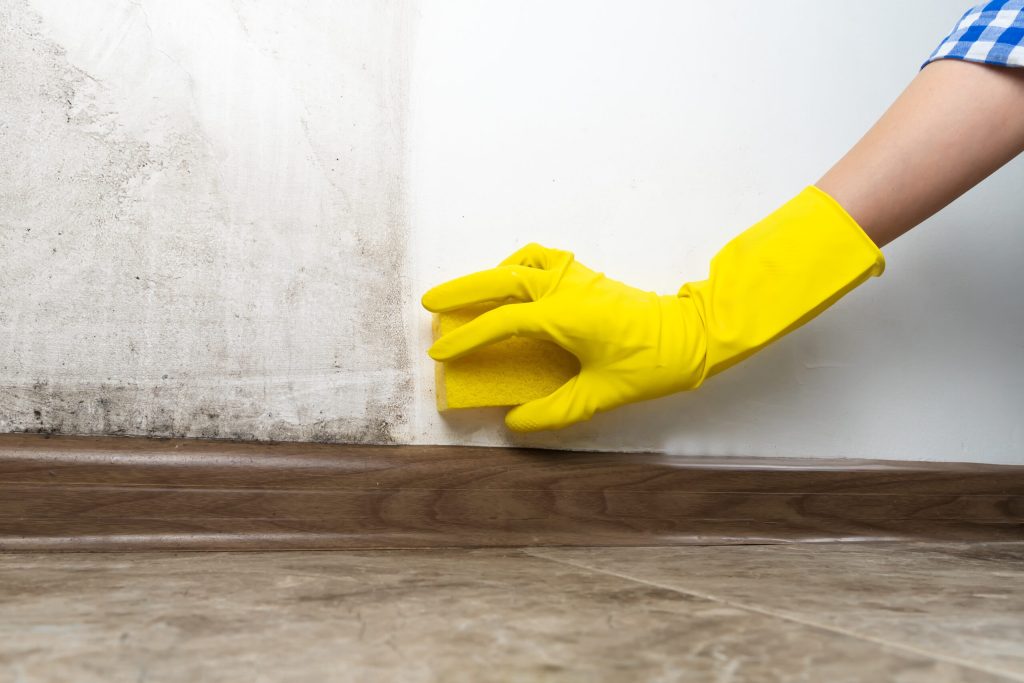 Close-up of a woman's hand in yellow rubber gloves cleans the wall from black mold with a special antifungal agent and sponge.Result is before and after, one part of the wall is clean, other is dirty