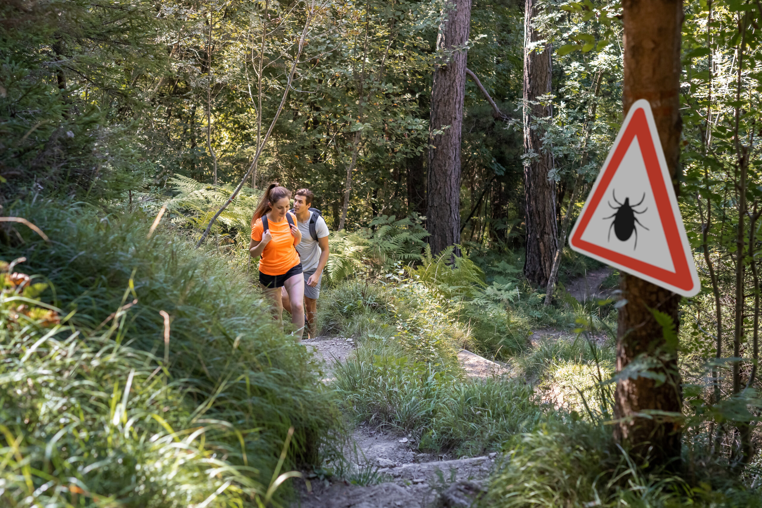 Man and woman hiking in Infected ticks forest with warning sign. Risk of tick-borne and lyme disease.