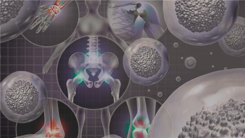 Introducing NavaRegen: Regenerative Medicine at Nava Health