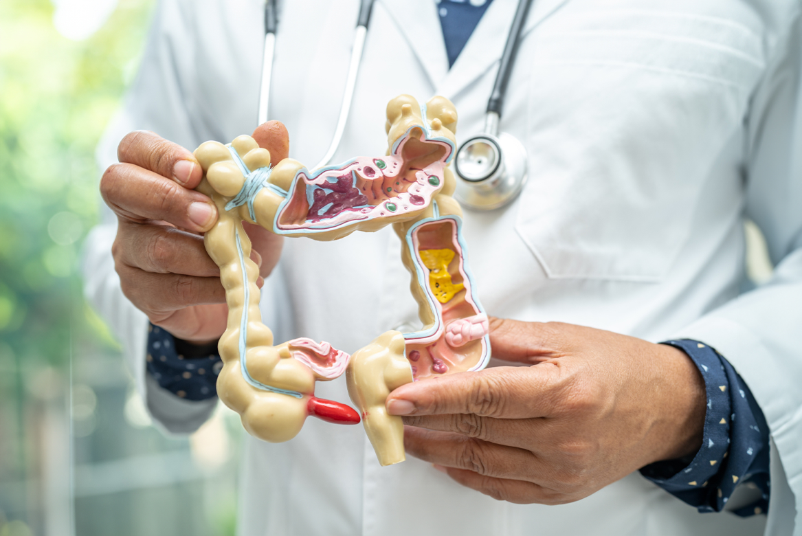 Nava Health|Gut Health