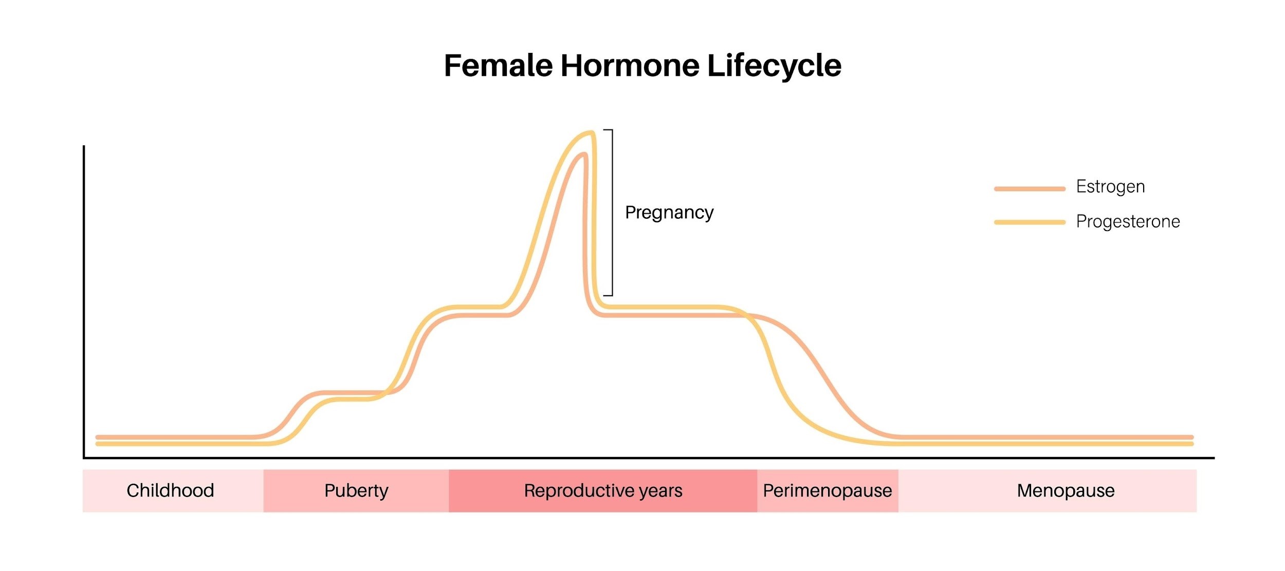 Nava Health | Unlocking Weight Loss: How BHRT Tackles Menopause Weight Gain Female hormone cycle