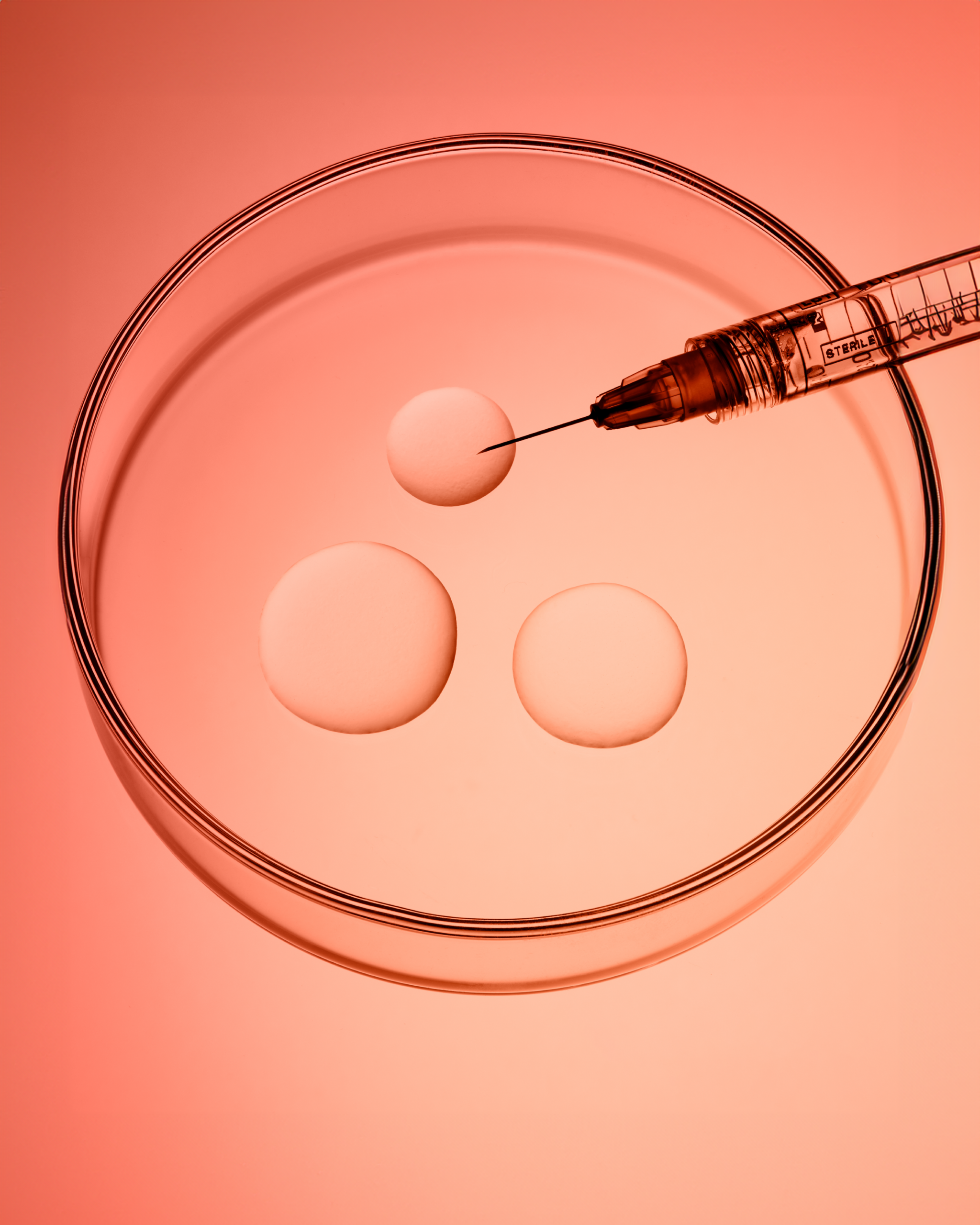 What Are Dermal Filler Treatments at Nava Aesthetics? 